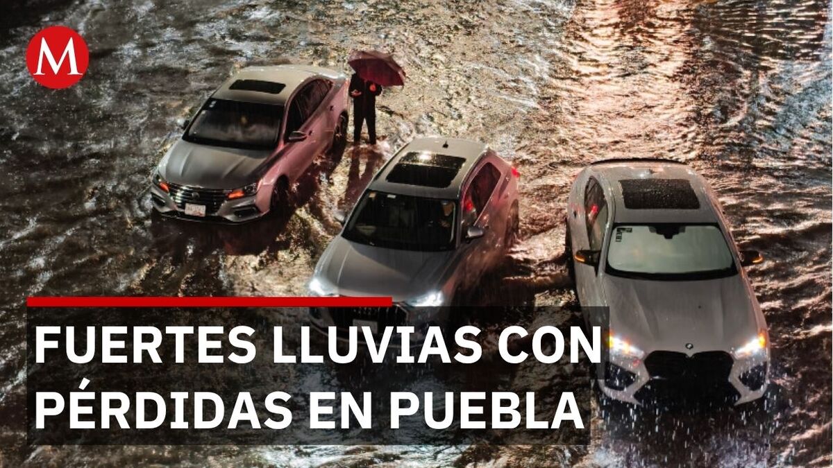 Fuerte lluvia con granizo deja varias afectaciones en Puebla, entre ellas un árbol caído y 3 autos