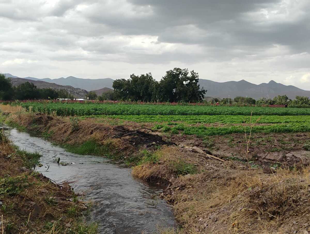 La Laguna señala retraso en tecnificación de riego para sector social.| Verónica Rivera.