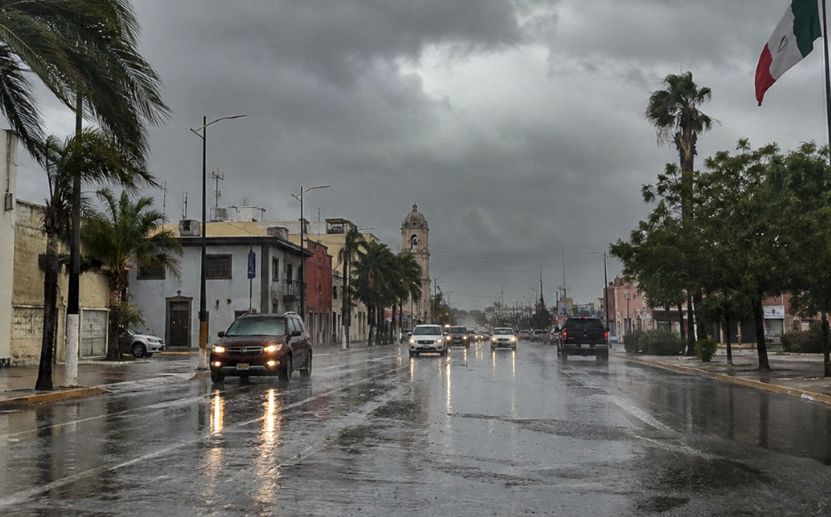 Lluvias fuertes y rachas de viento marcarán el clima en Tamaulipas. | Milenio IA