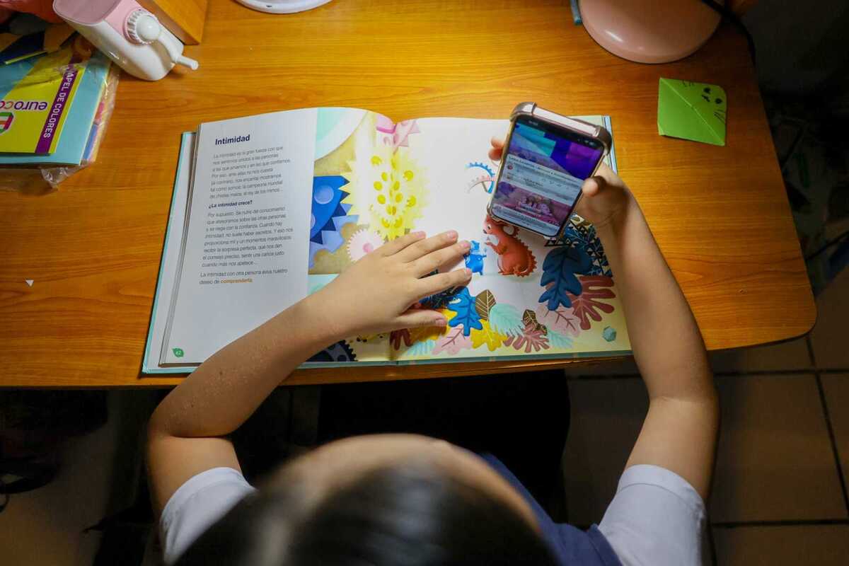 La medida prohíbe los dispositivos en preescolar y primaria y limita su uso en secundaria a fines pedagógicos.| Rolando Riestra.