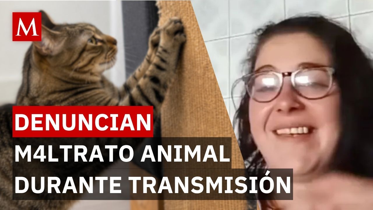 Mujer agrede a gato en vivo y amenaza a su hija; piden ayuda a autoridades en España