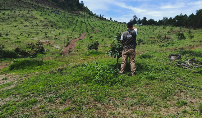 Profepa frena evento Off Road y asegura madera en Durango. | Foto: cortesía Pofepa.