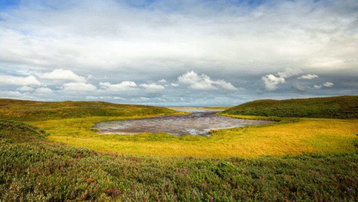 El refugio, creado en 1979, cuenta con unas 16 mil 200 hectáreas relacionadas con la observación de fauna | Foto: Gobierno de EU