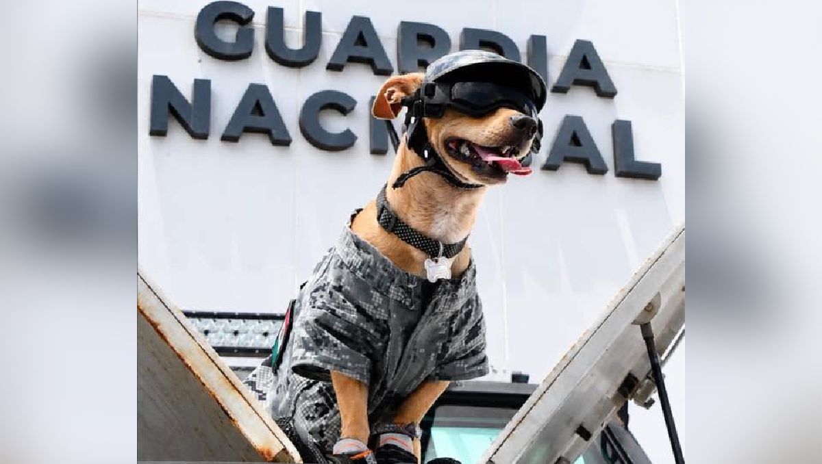Comando Chihuahua comparte sus operativos con la Guardia Nacional con un toque de humor | Foto: RRSS