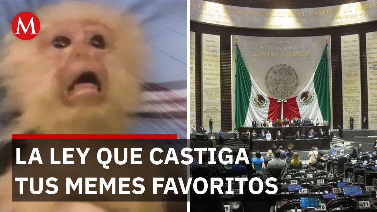 Multas de 4.7 millones de pesos por compartir memes sin autorización en redes