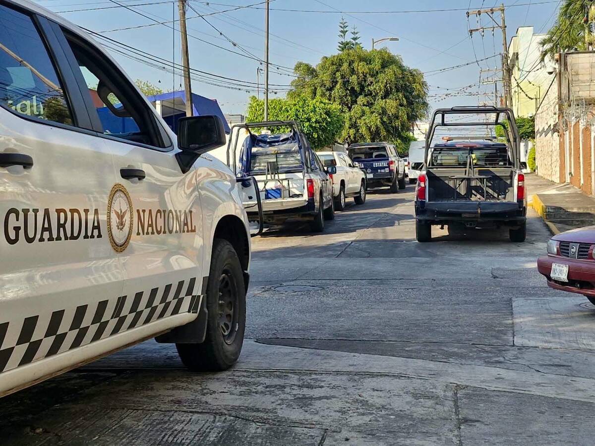 El perito será puesto a disposición de la autoridad judicial, que determinará su situación jurídica. | Especial