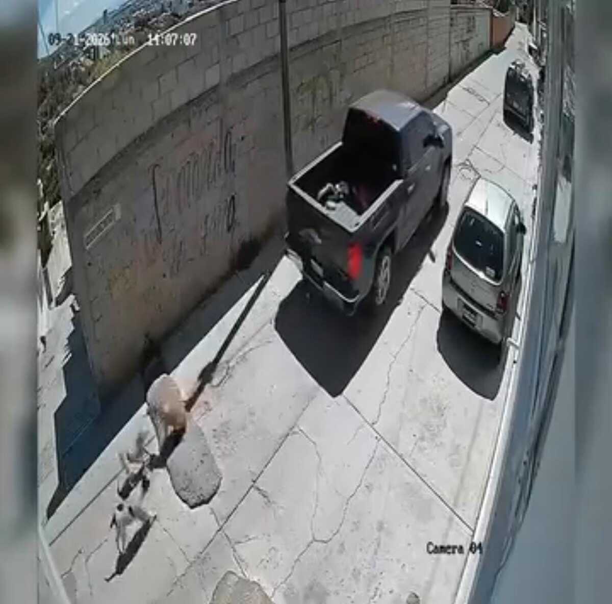 Una perrita fue atropellada en Mineral de la Reforma. (Video)