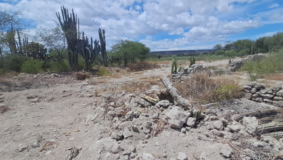 INAH inspeccionará presuntos daños en la zona arqueológica en Altepexi | Carolina Espinosa