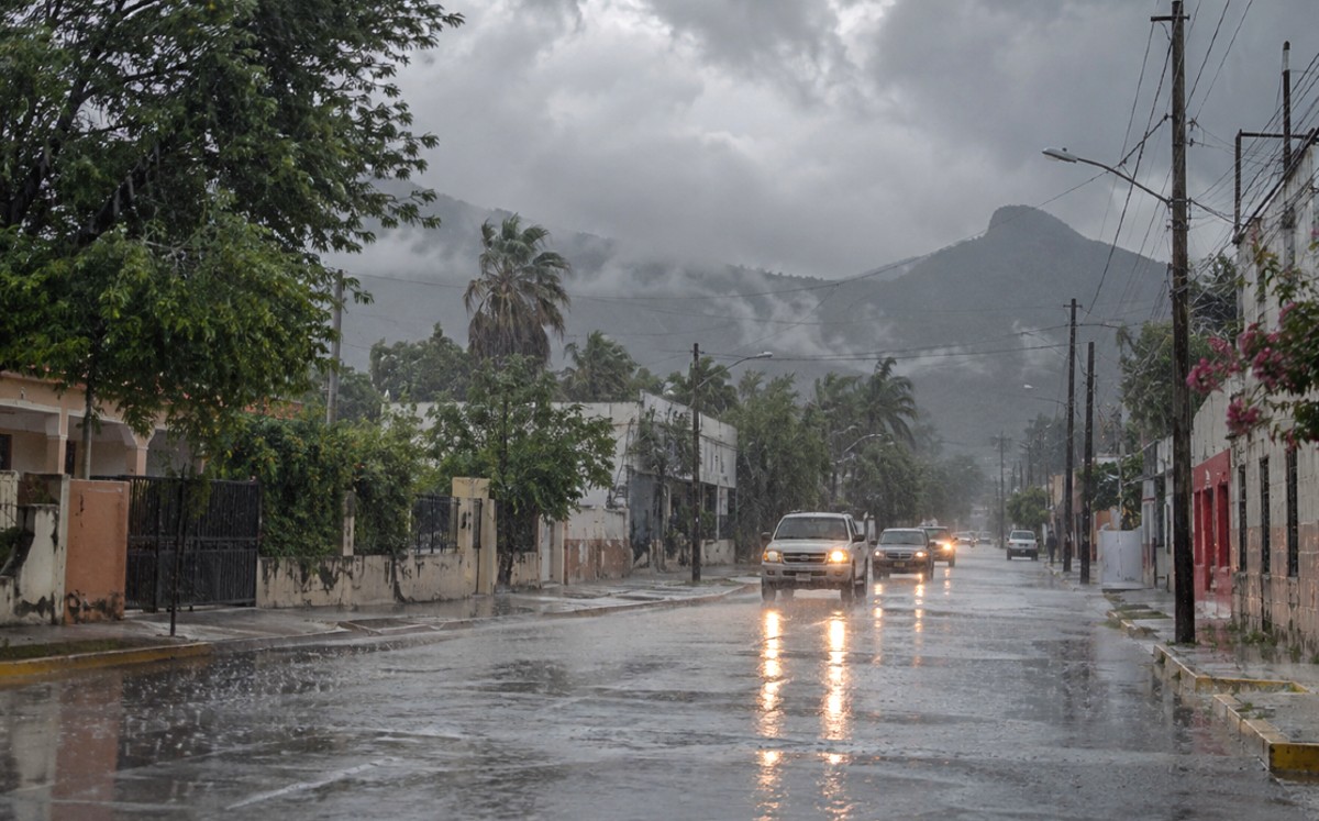 Lluvias muy fuertes y cielo nublado marcarán el clima en Tamaulipas. | Milenio IA