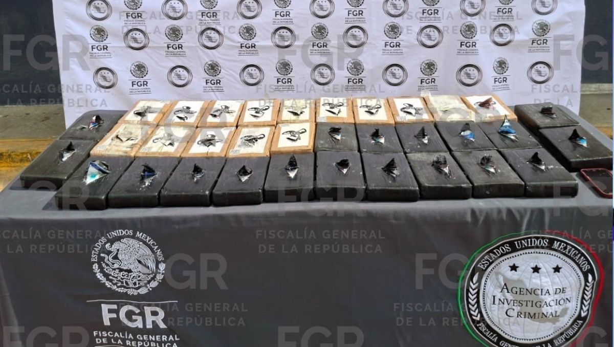 Se localizaron los 34 paquetes que contenían 39 kilos 450 gramos de posible cocaína. Foto: Especial