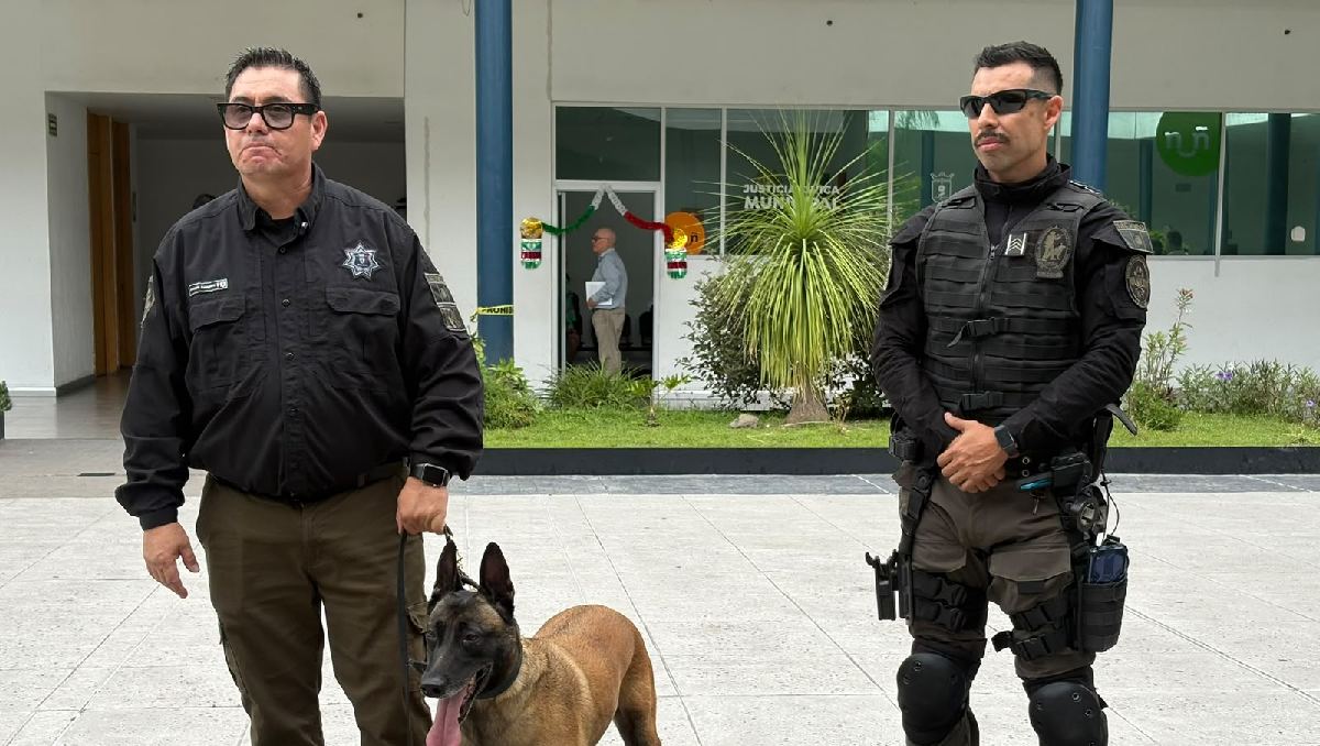 La unidad está conformada por 63 elementos encargados de 21 caninos. (Fátima Briceño)