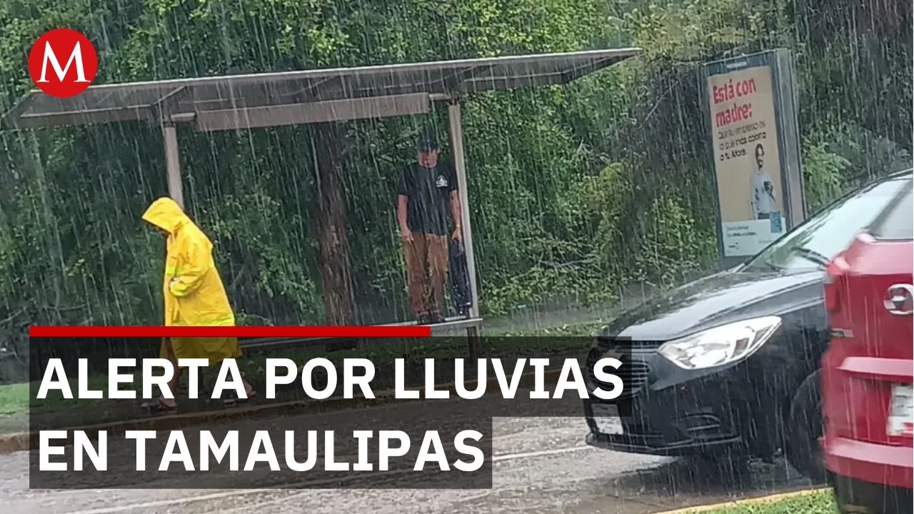 Colapso en Tamaulipas: lluvia de 2 horas genera inundaciones y salida de cocodrilos