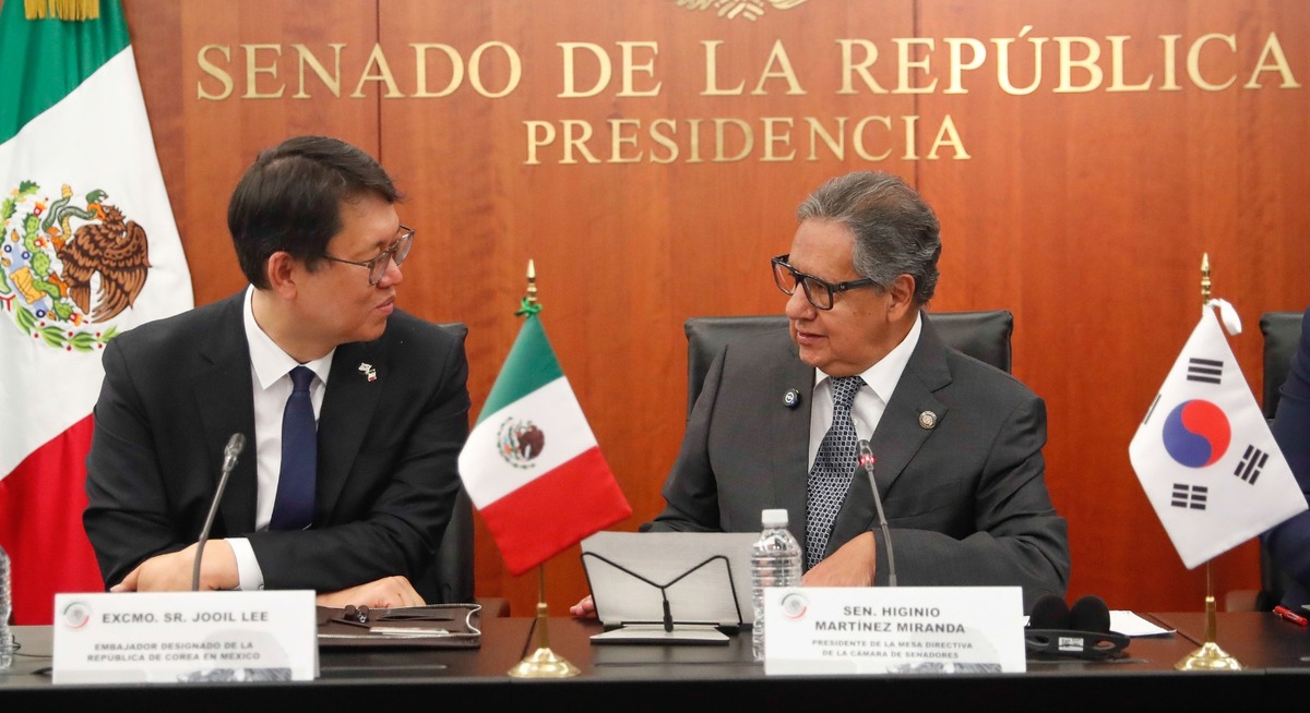 Higinio Martínez encabezó los encuentros diplomáticos en el Senado de la República para impulsar la cooperación económica y cultural.|Foto: Especial