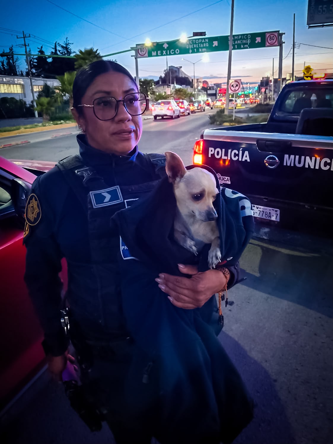 Luca salió de casa y terminó corriendo entre los vehículos en los carriles confinados del bulevar Felipe Ángeles, en Pachuca. (Cortesía)