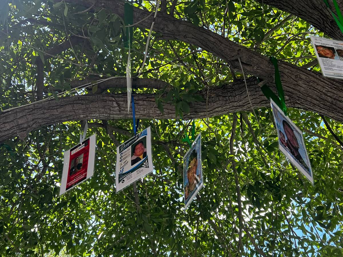 Búsqueda Nacional en Vida llega a Piedras Negras con marcha y memorial.| Fotos Leo Robles / Cortesía Búsqueda Nacional en Vida