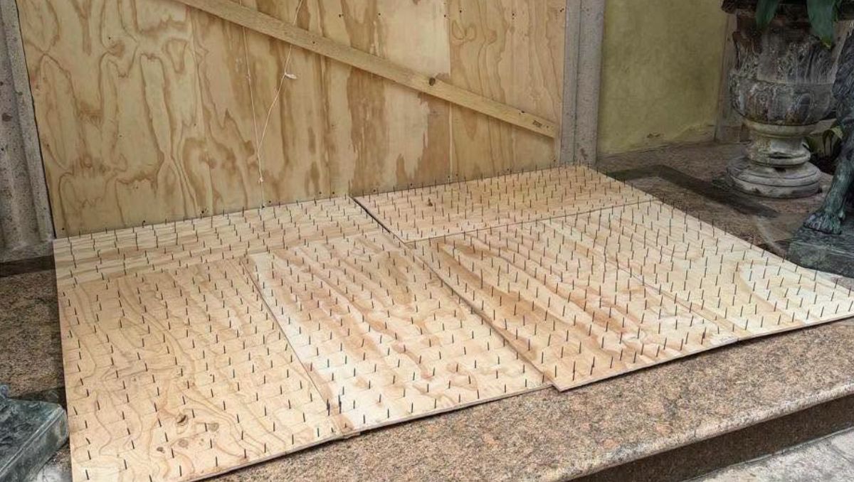 Retiran tablas con clavos como medida contra osos en San Pedro  | Foto: