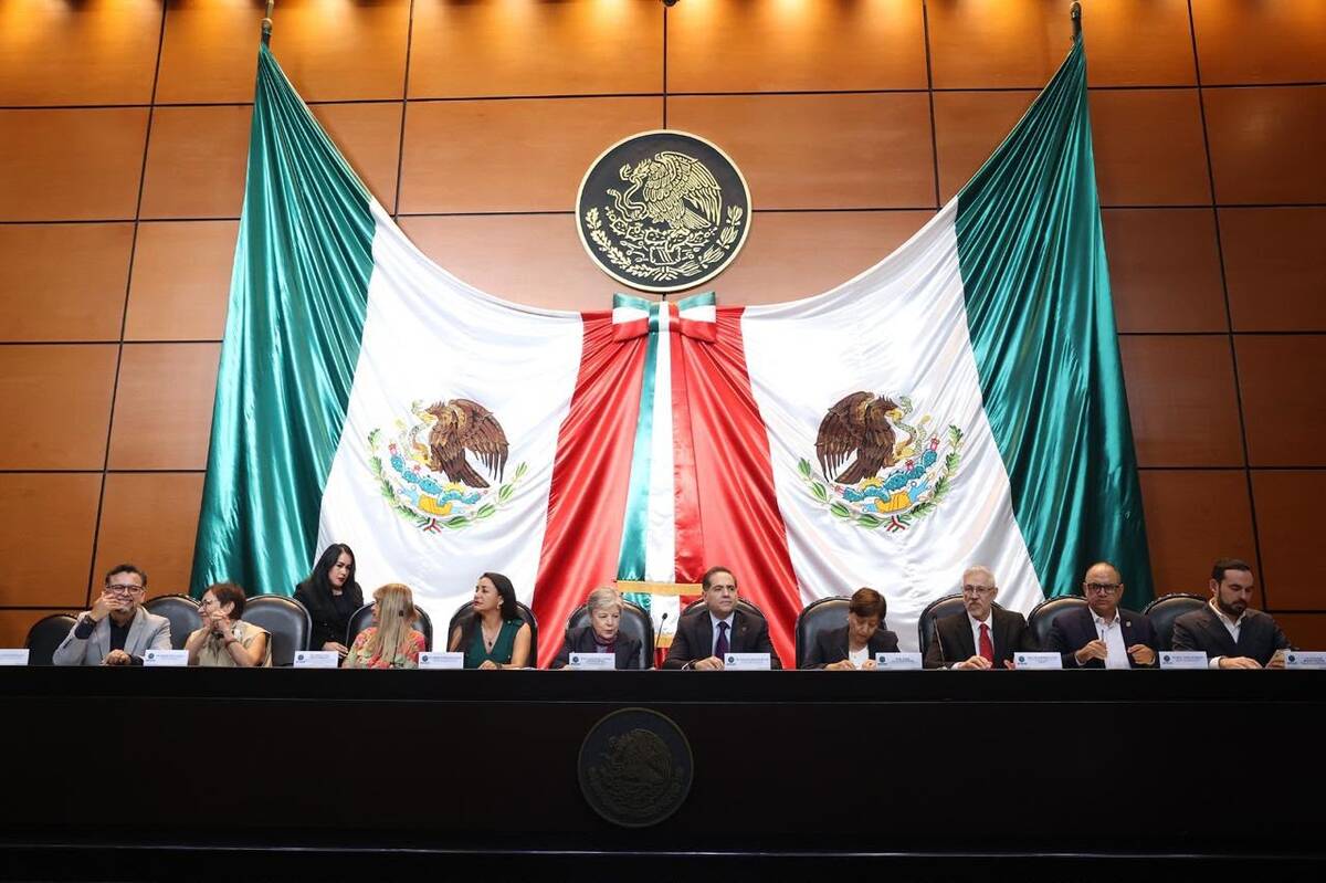 En San Lázaro impulsan reformas para endurecer las sanciones y fortalecer la justicia ecológica. | Especial