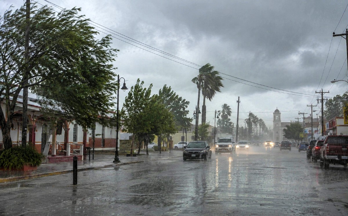 Lluvias intensas y fuertes rachas de viento marcarán el clima en Tamaulipas. | Milenio IA