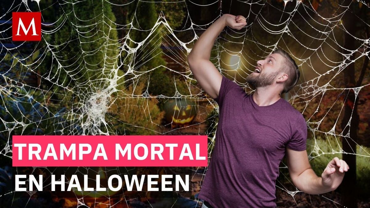 Por esto piden NO poner telarañas falsas en tu jardín este Halloween