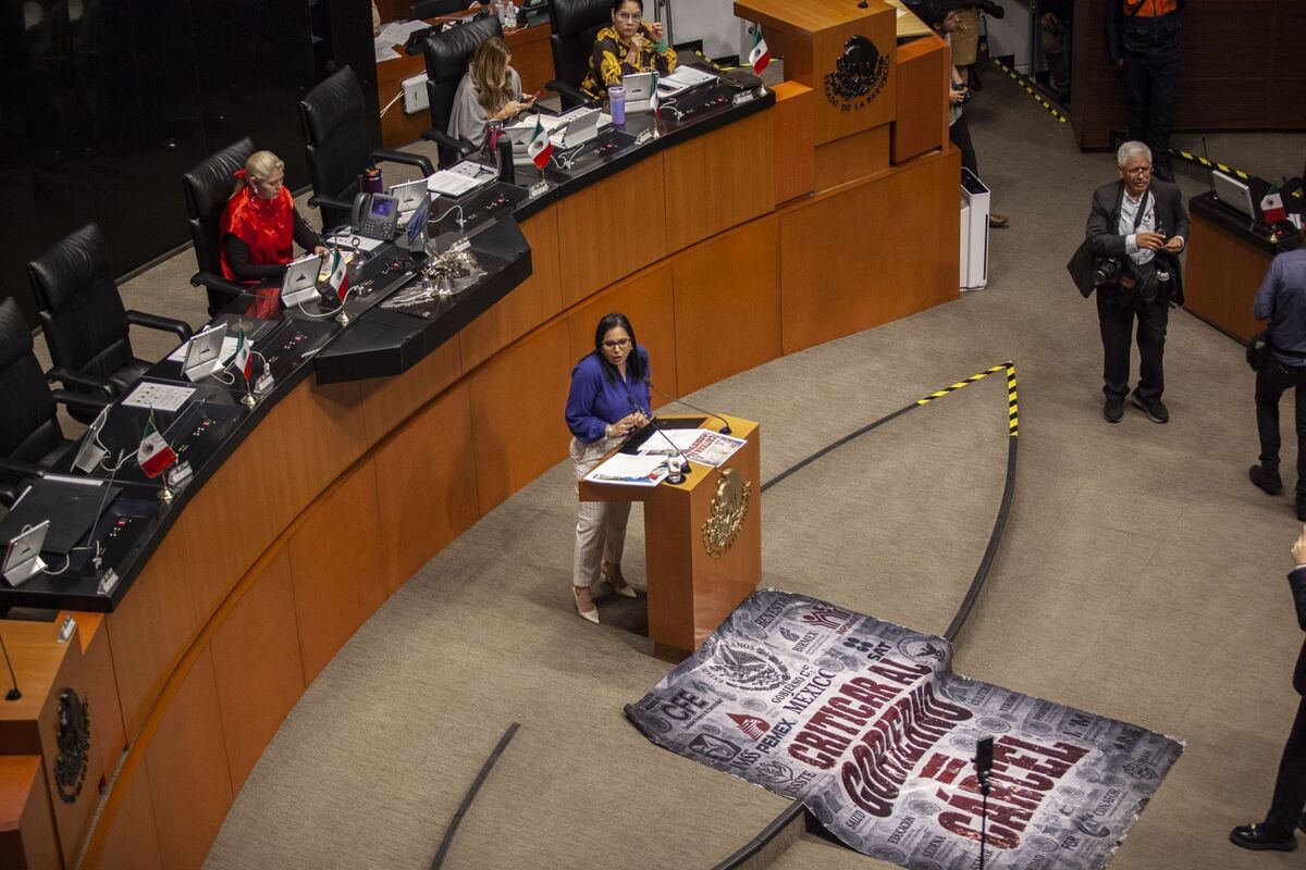El pleno del Senado aprobó reformas para sancionar el uso indebido de la identidad gráfica oficial a escala comercial. | Foto: Cuartoscuro