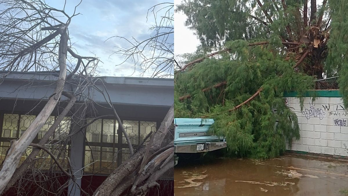 La tormenta que se registró la tarde del martes en la Comarca Lagunera. | Verónica Rivera