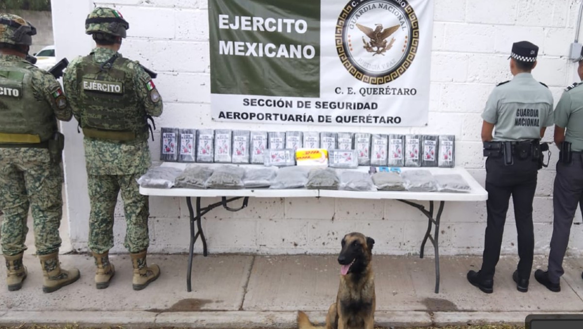 Con apoyo de un canino, autoridades federales decomisaron cocaína, marihuana y pirotecnia en la terminal aérea de Querétaro. | Foto:Especial