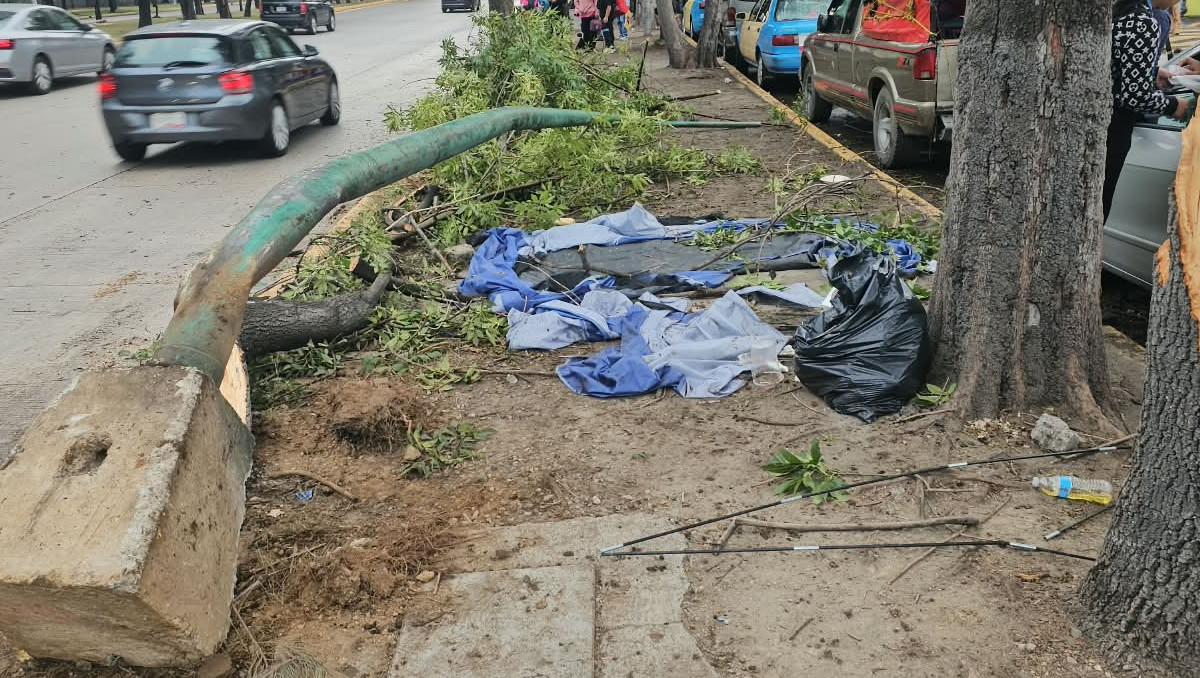 Árbol cae sobre familia que descansaba fuera de un hospital en Puebla | Especial