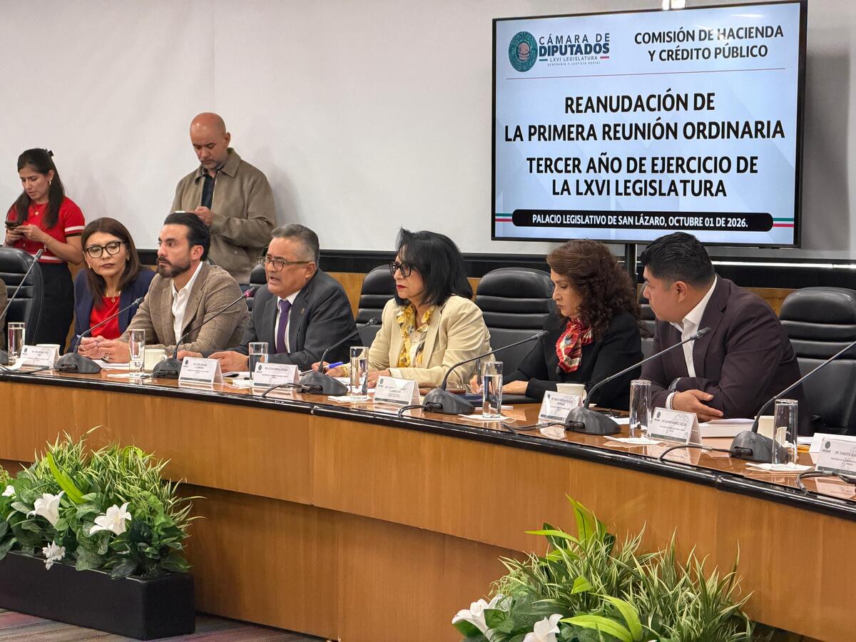 La Comisión de Hacienda de la Cámara de Diputados aprobó la iniciativa. | Foto: Especial