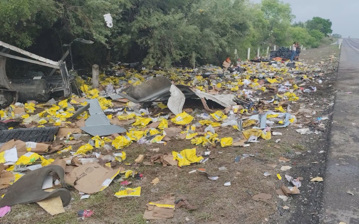 Paquetes de Mercado Libre regados sobre el húmedo asfalto de la carretera Victoria-Zaragoza. | Redes sociales