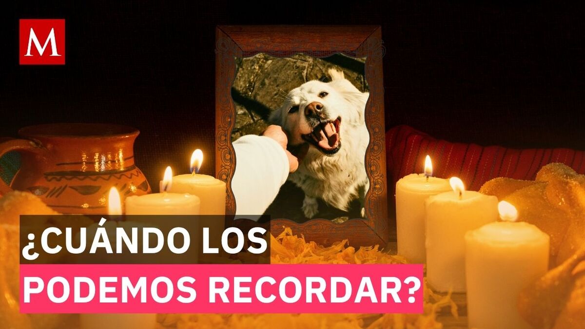 ¿Qué día se pone la ofrenda para mascotas? Fecha exacta y qué debe llevar