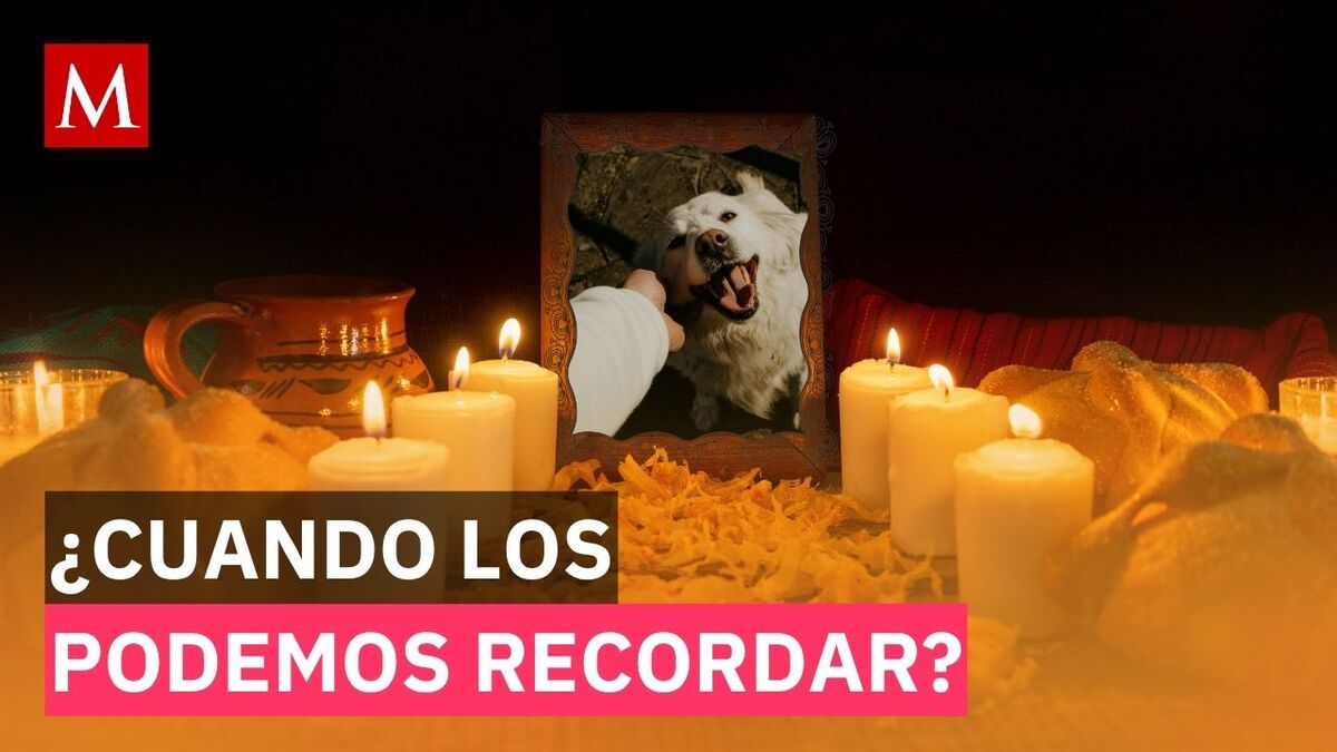 ¿Qué día se pone la ofrenda para mascotas? Fecha exacta y qué debe llevar