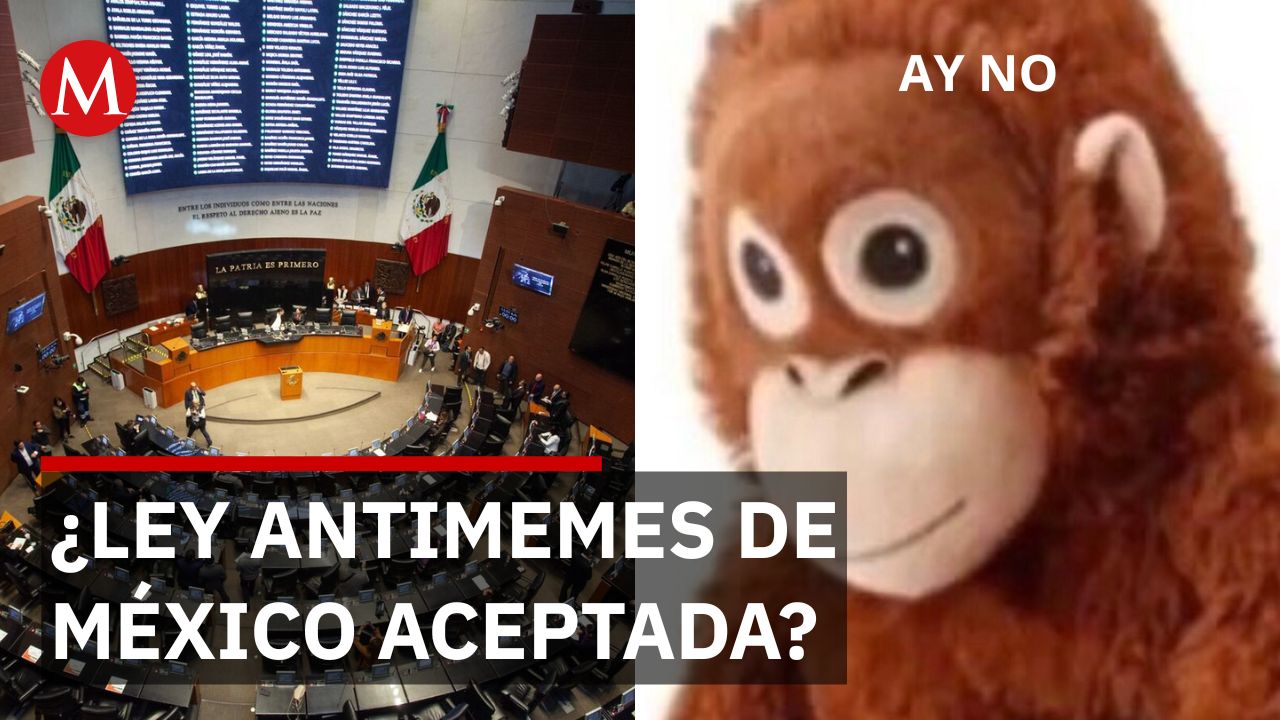 Senado aprueba ley antimemes en tenso debate marcado por enfrentamientos