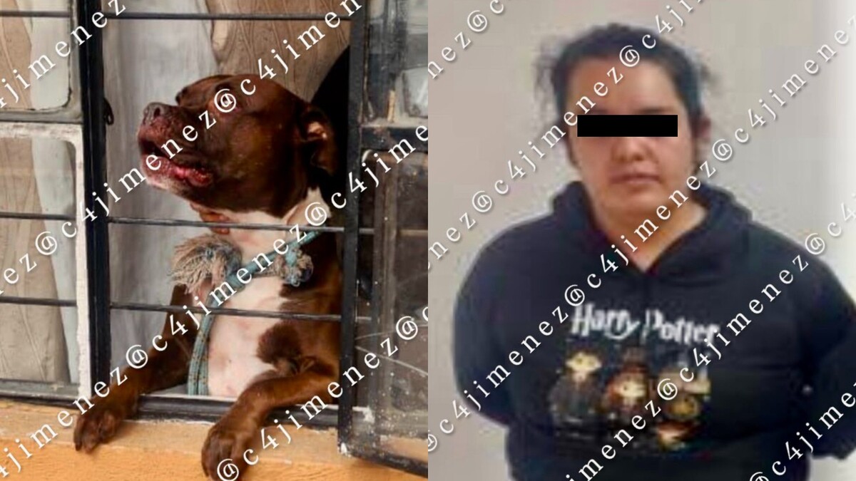 La dueña del perro, identificada domo Sara Martínez, fue detenida por los hechos. | Carlos Jiménez