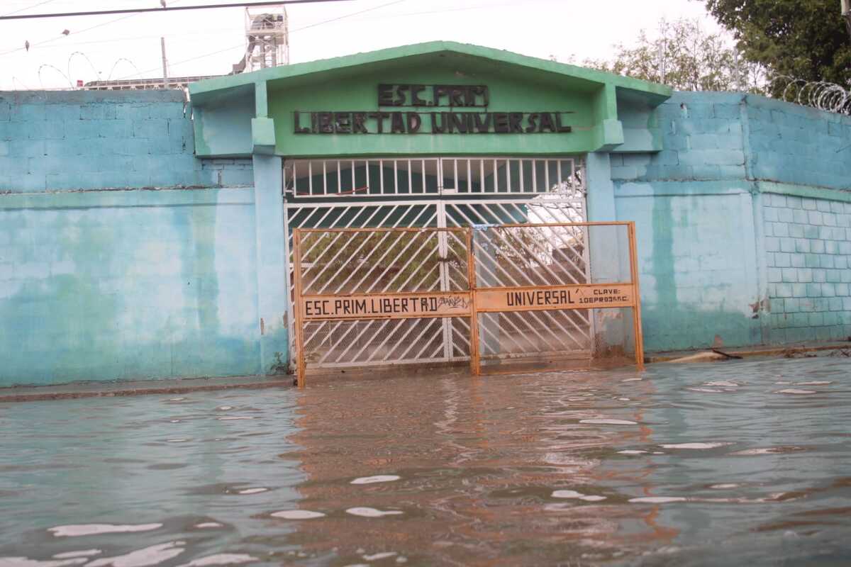 Las escuelas deberán permanecer abiertas para recibir a los alumno. | Rolando Riestra