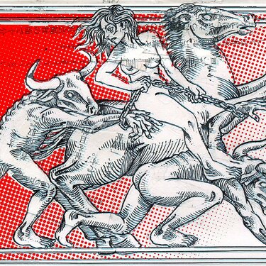 Ex libris: El rebaño. Ilustración del artista visual Eko.
