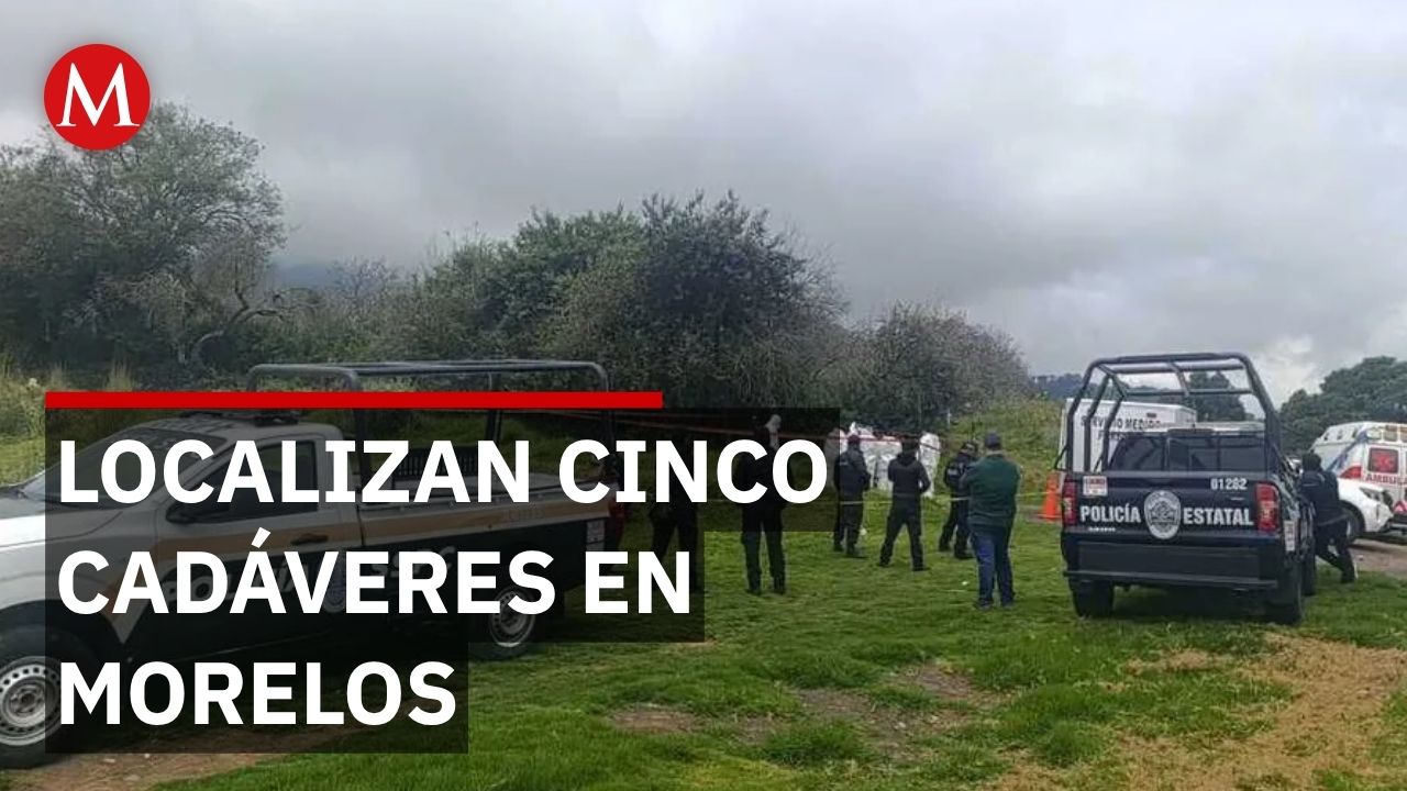 Hallan 5 cuerpos con signos de violencia en zona limítrofe de Morelos