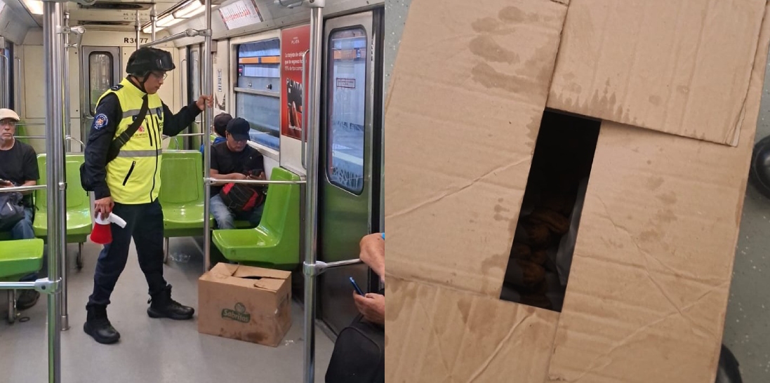 Caja olvidada en vagón de la Línea 7 de Metro CdMx. | Especial