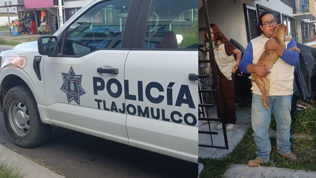Personal de la UNASAM intervino tras una denuncia ciudadana. (Cortesía)