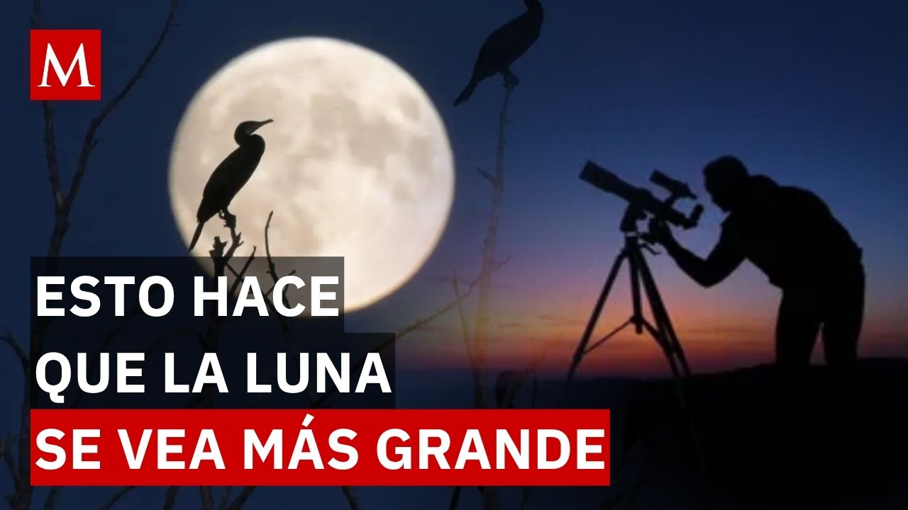 ¿Por qué la Luna de octubre se ve más grande? La explicación científica detrás del fenómeno