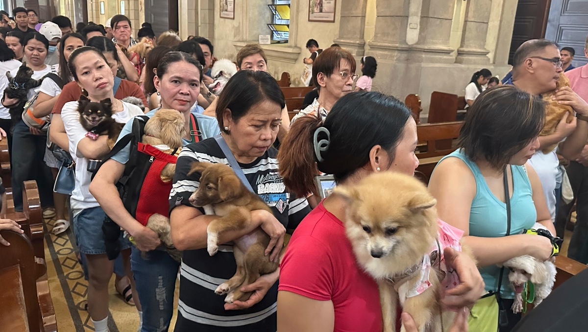 Personas en el evento de bendición de mascotas en Manila, Filipinas, el 4 de octubre del 2026. | AP