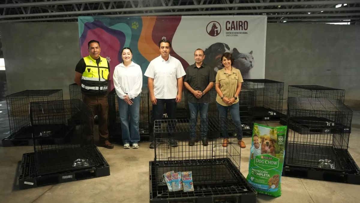 Protección Civil y Bienestar Animal coordinarán el traslado de los animales reportados. | Especial