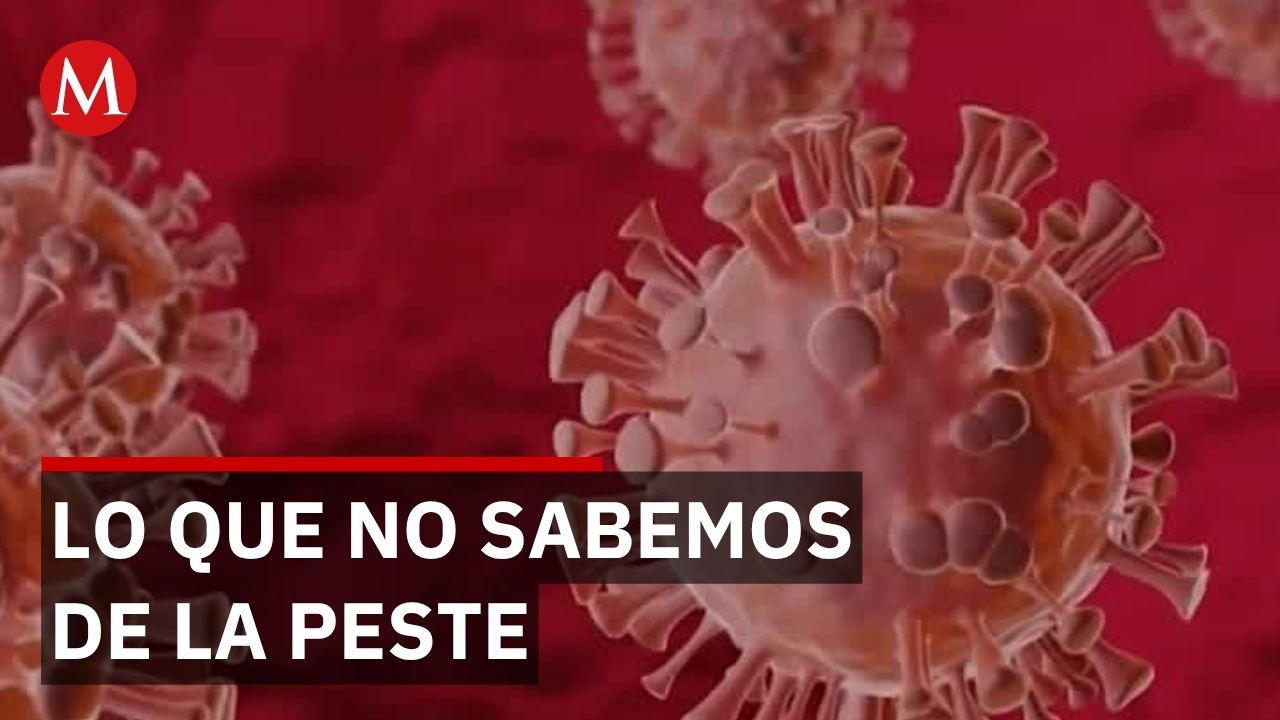 Alejandro Macías pide alerta sin alarma por peste en laboratorio ruso