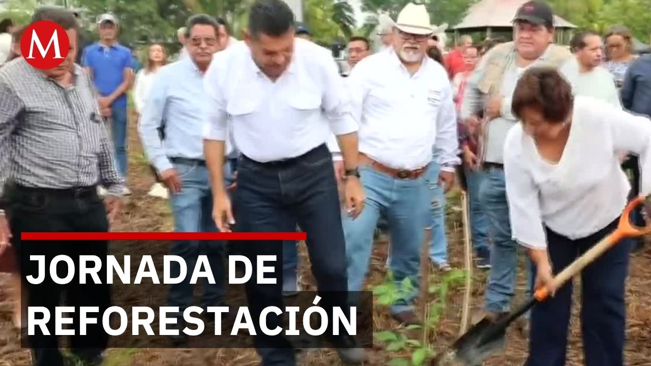 Tabasco inicia reforestación con meta de 2.5 millones de árboles