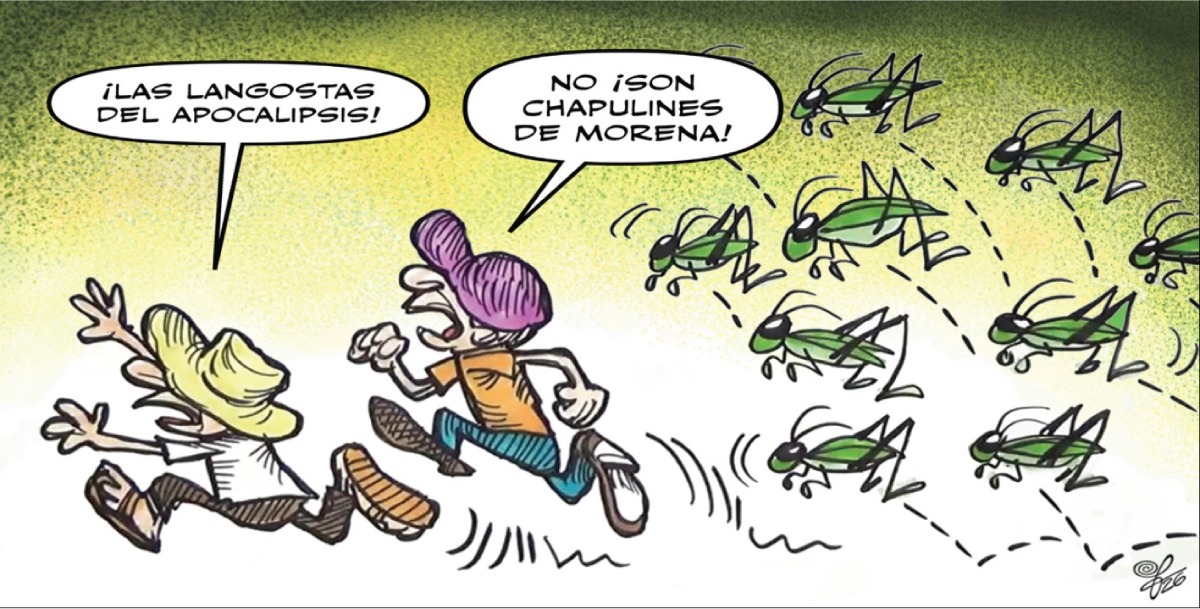 Chapulineo