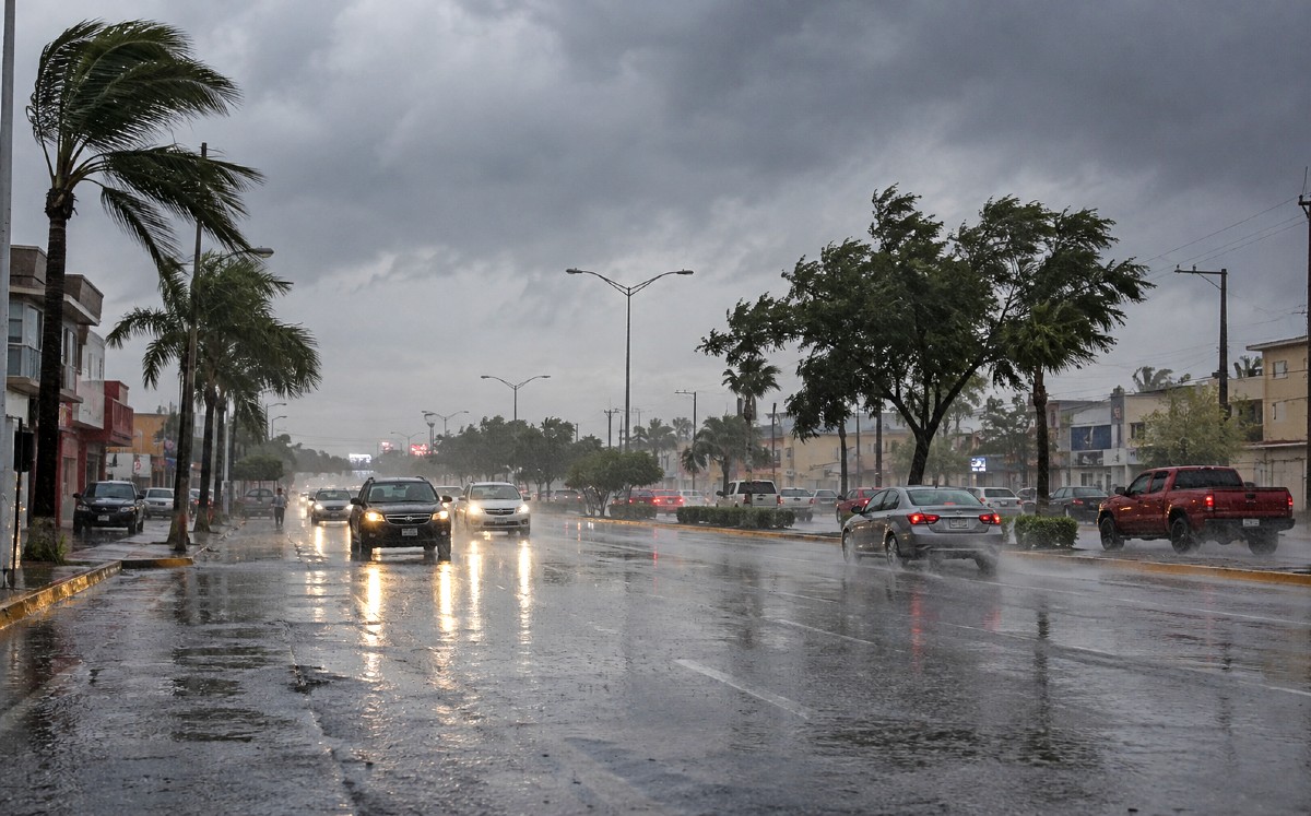 Lluvias muy fuertes y rachas de viento marcarán el clima en Tamaulipas. | Milenio IA