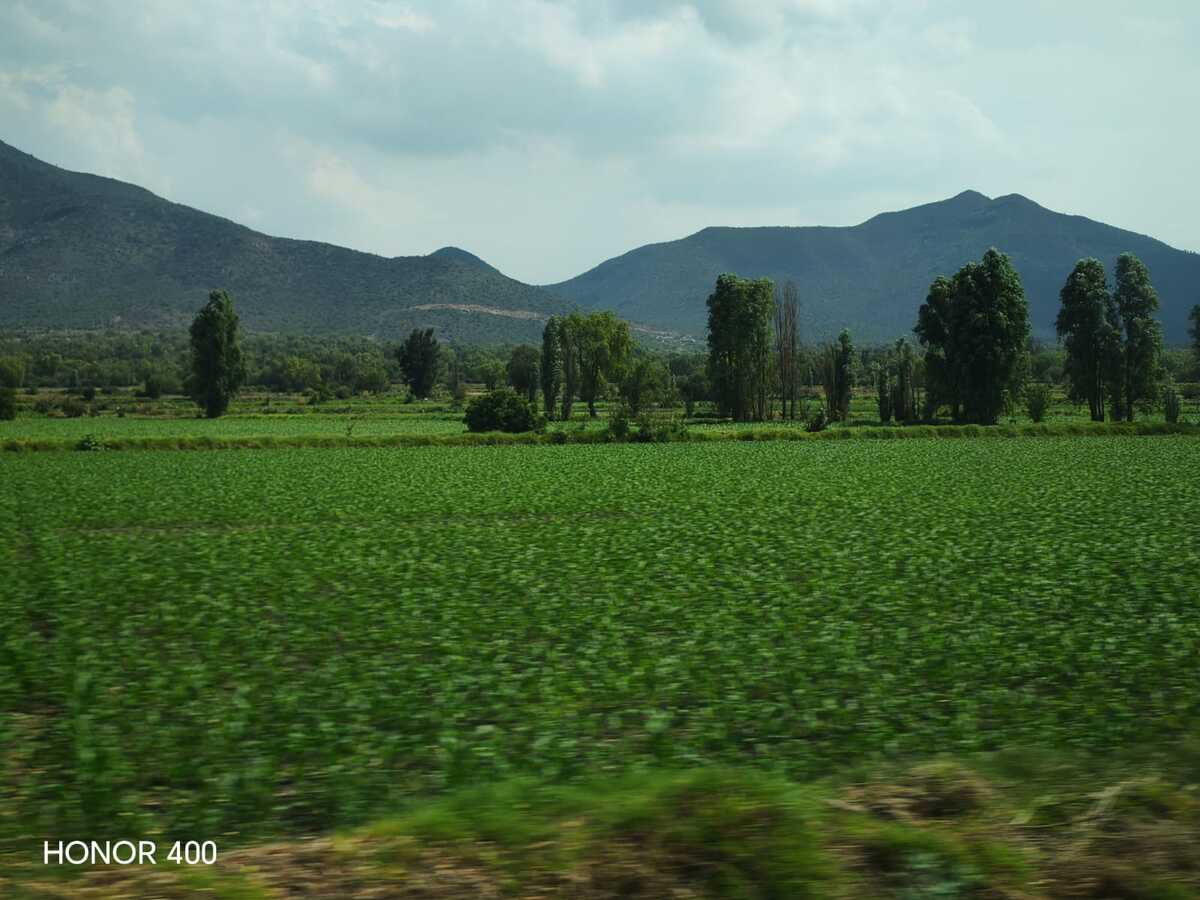 En cuatro años, en Hidalgo se redujo su superficie agropecuaria cerca del 50%. (Miriam Avilés)