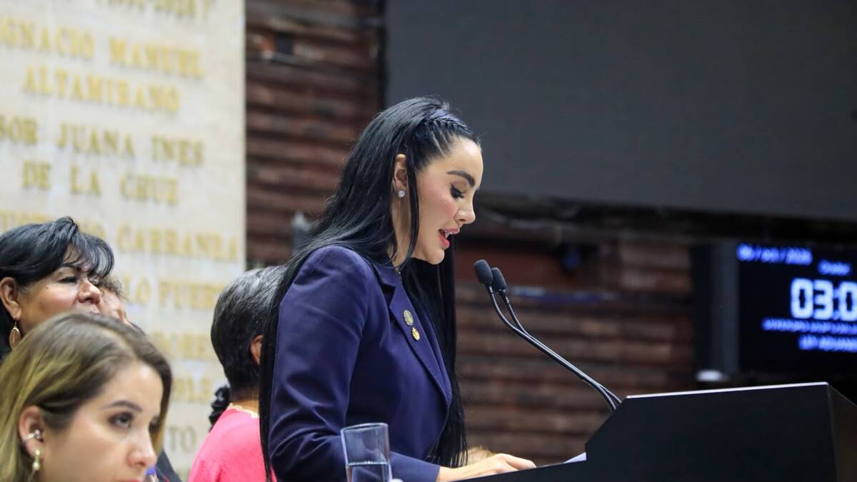 Gabriela Jiménez, vicecoordinadora de Morena en la Cámara de Diputados, respaldó la reforma a la Ley Aduanera. | Especial