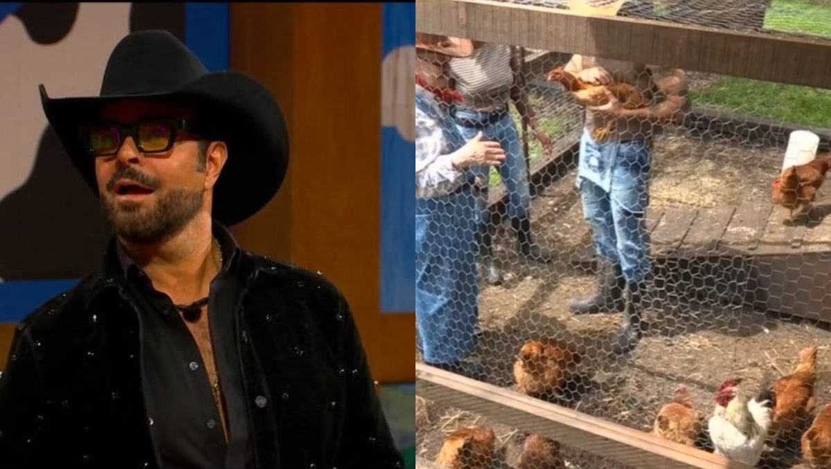 Pablo Montero desata críticas en La Granja VIP; dijo que era "trabajo de mujeres" cuidar a la gallinas | Redes sociales