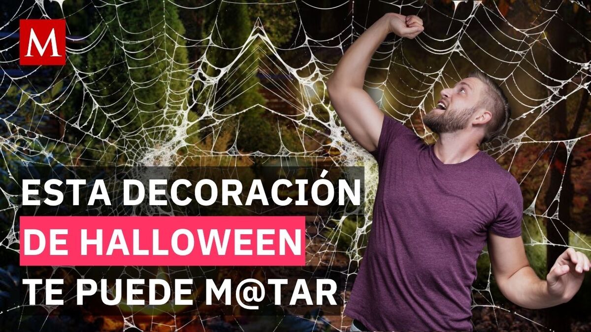 Por esto piden NO poner telarañas falsas en tu jardín este Halloween