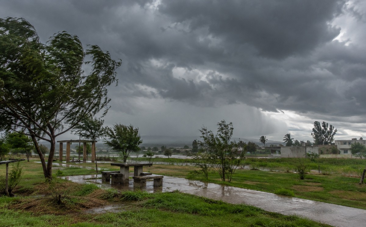 Chubascos, viento y cielo nublado marcarán el clima en Tamaulipas. | Milenio IA